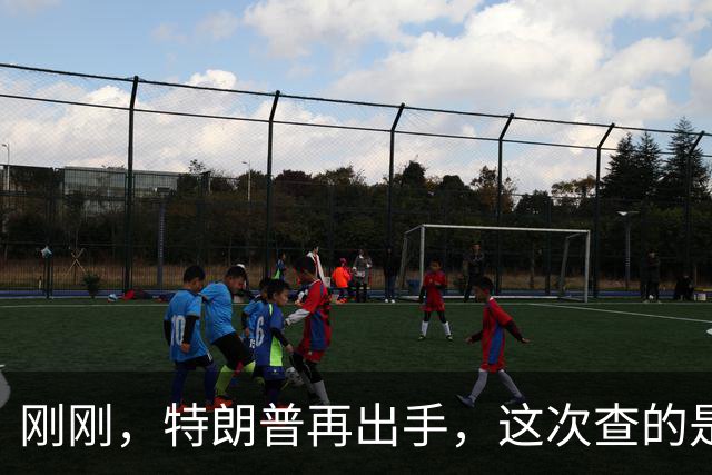 刚刚，特朗普再出手，这次查的是“你会不会成为美国负担”！留美家长坐不住了